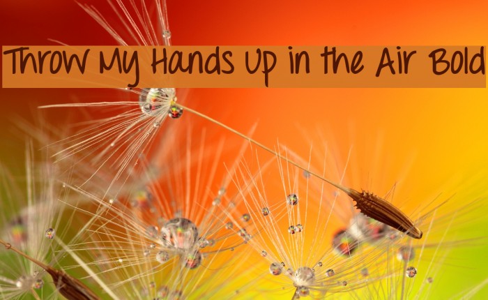 Throw My Hands Up in the Air Bold Font examples