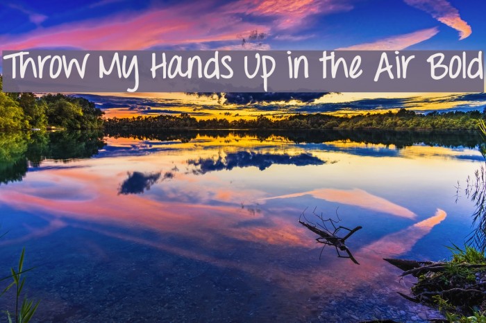 Throw My Hands Up in the Air Bold Font examples