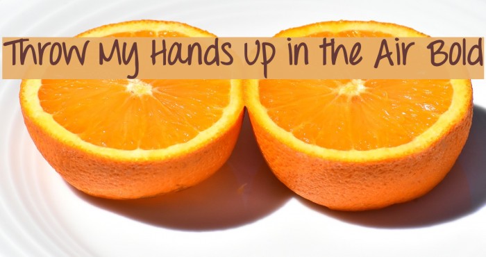 Throw My Hands Up in the Air Bold Font examples