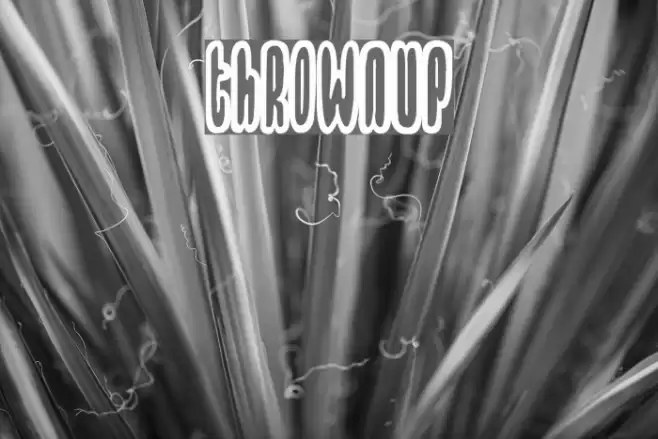 Thrownup Font examples