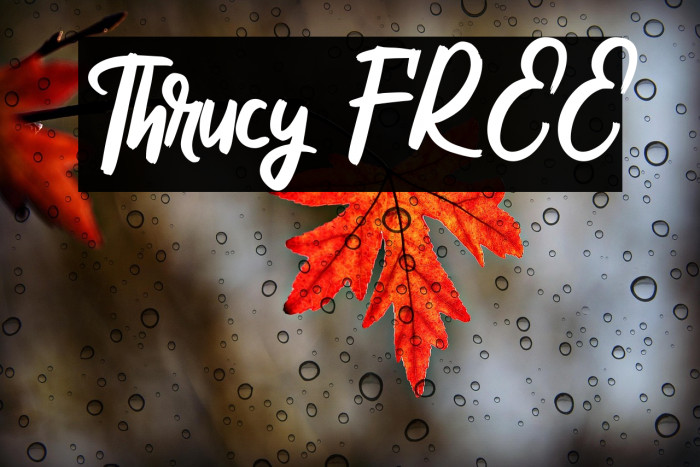 Thrucy FREE Example 2