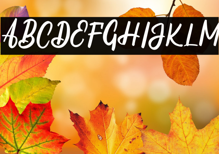 ThrucyFREE Example 2