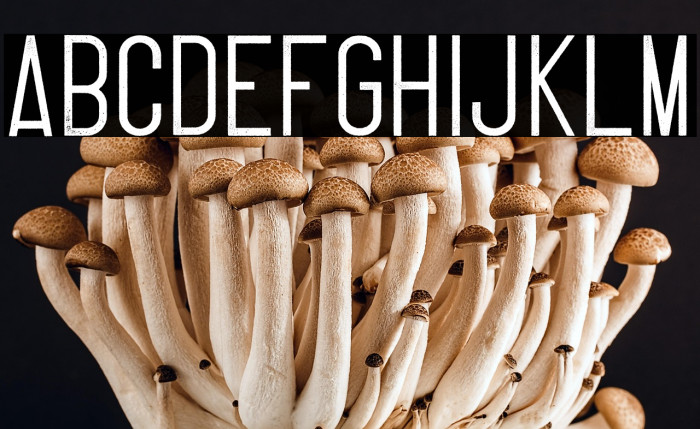 Thruster Regular Example 3