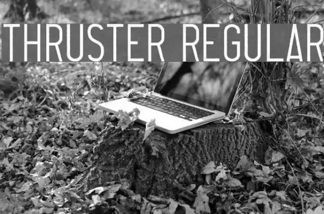 Thruster Regular Font examples