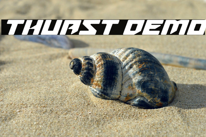 Thuast Demo Example 2