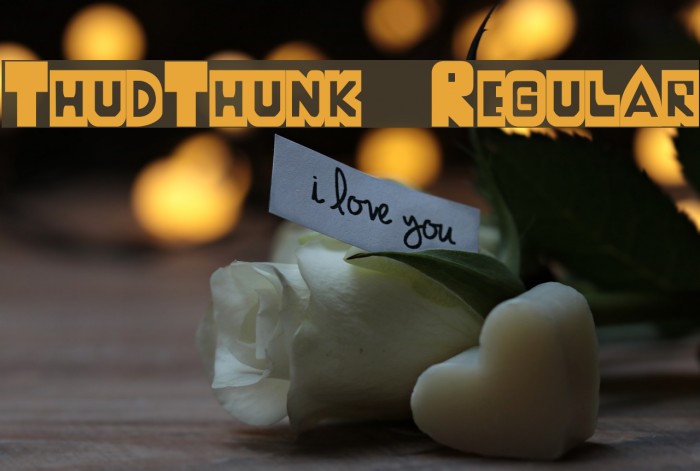 ThudThunk-Regular Example 1