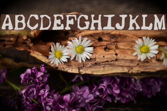 Thud Font examples