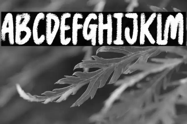 Thug Land Caratteri examples