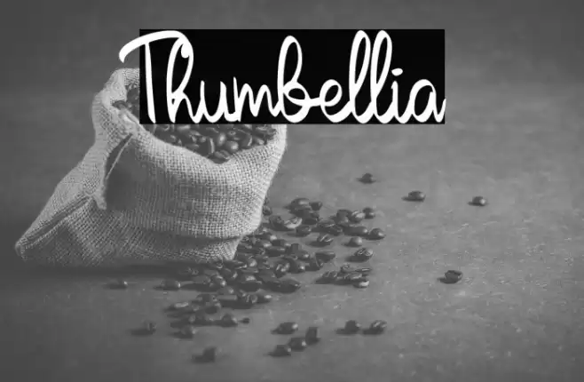 Thumbellia Font examples