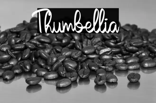 Thumbellia Font examples