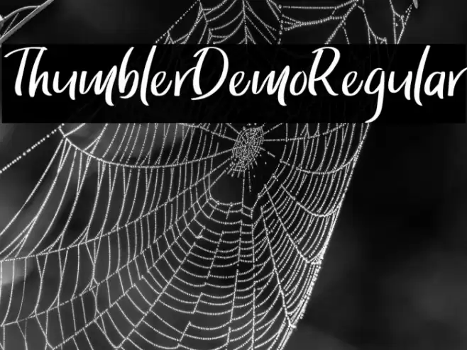ThumblerDemoRegular Font examples