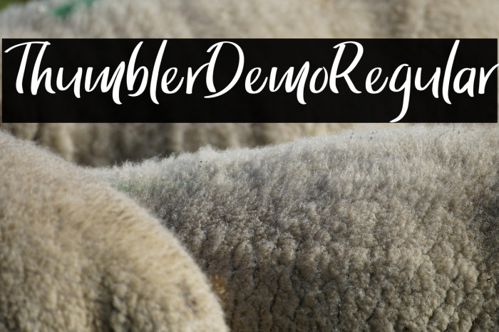 ThumblerDemoRegular Example 2