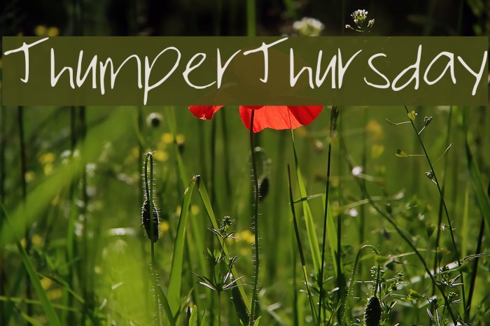 ThumperThursday Example 1