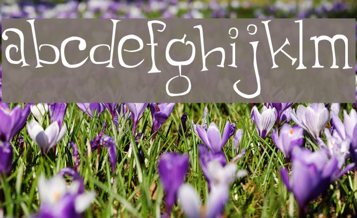 Thumping Font examples
