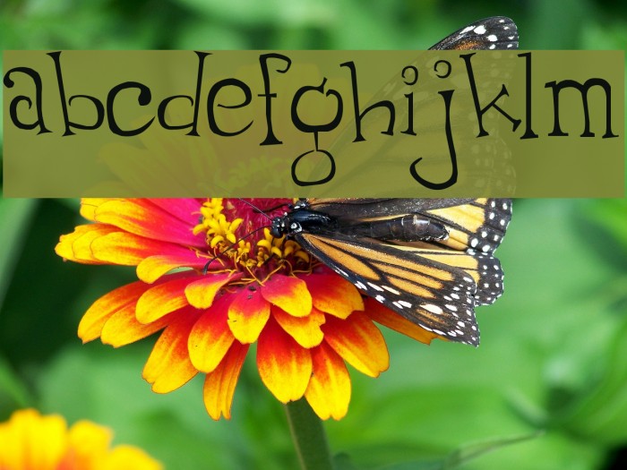 Thumping Font examples