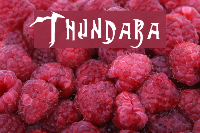 Thundara Font examples