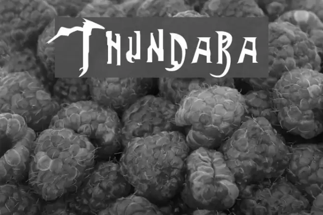 Thundara フォント examples