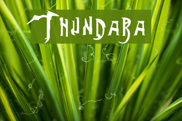 Thundara Font examples