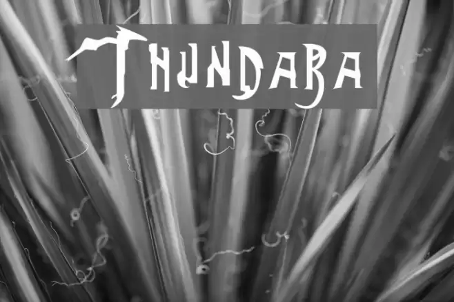 Thundara フォント examples