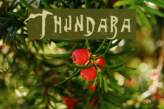 Thundara Font examples