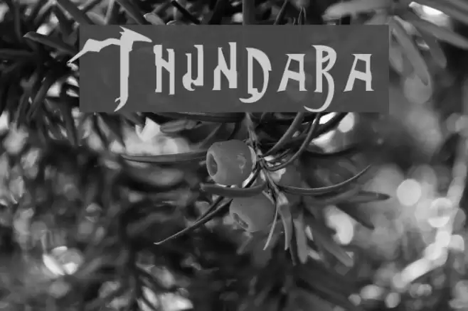 Thundara フォント examples