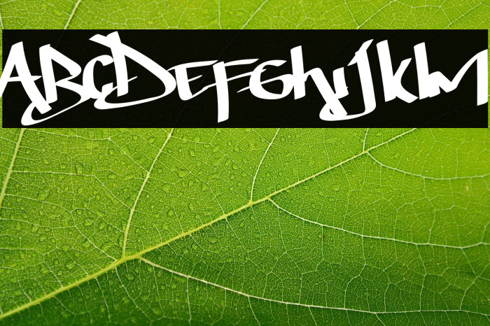 Thunder Bold Example 1