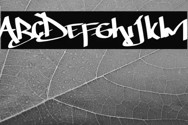 Thunder Bold Font examples