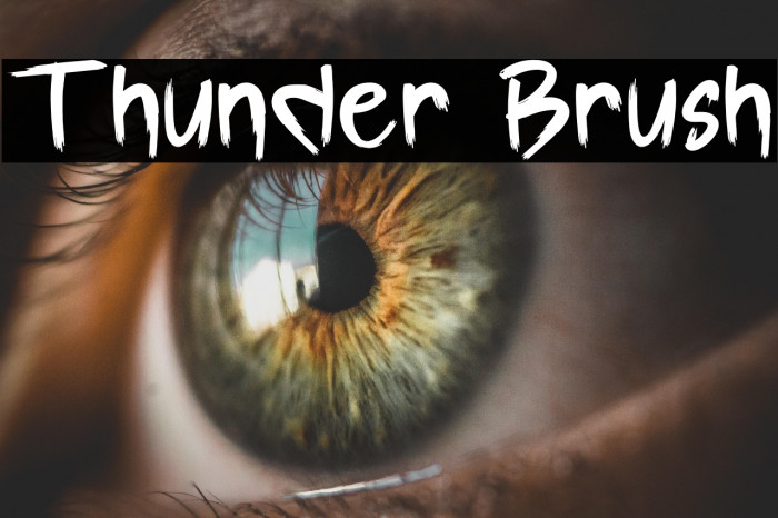 Thunder Brush Example 2