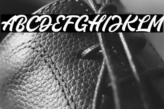 Thunder Demo Font examples