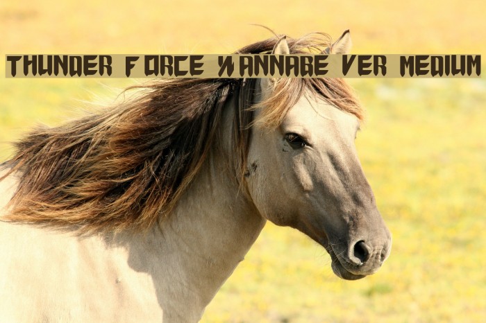 Thunder Force Wannabe ver.1.1 Medium Example 2