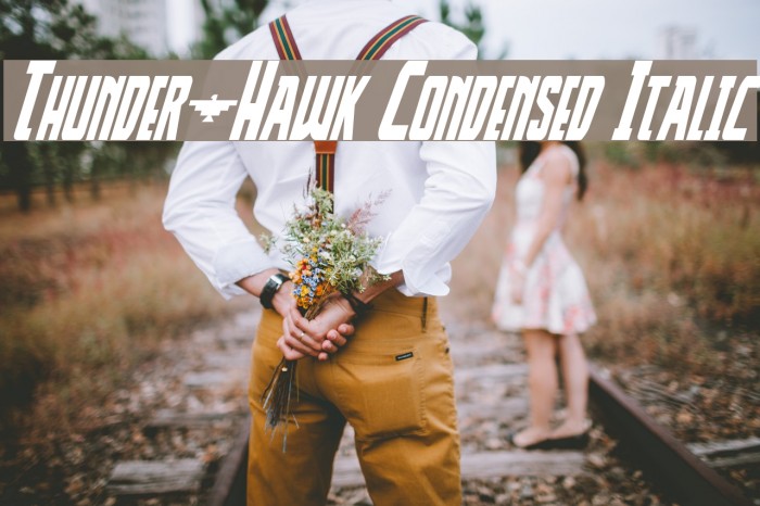 Thunder-Hawk Condensed Italic Font examples