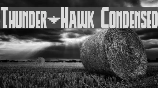 Thunder-Hawk Condensed Font examples
