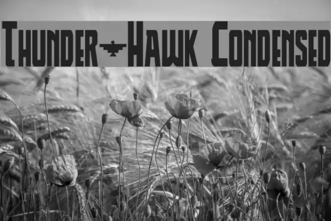 Thunder-Hawk Condensed Font examples