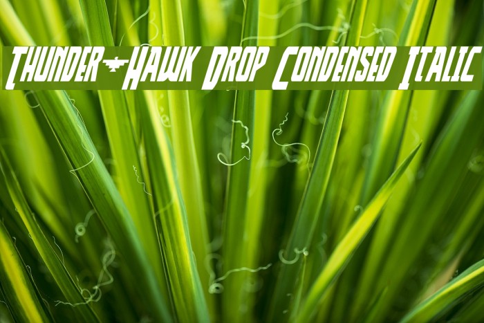 Thunder-Hawk Drop Condensed Italic Font examples