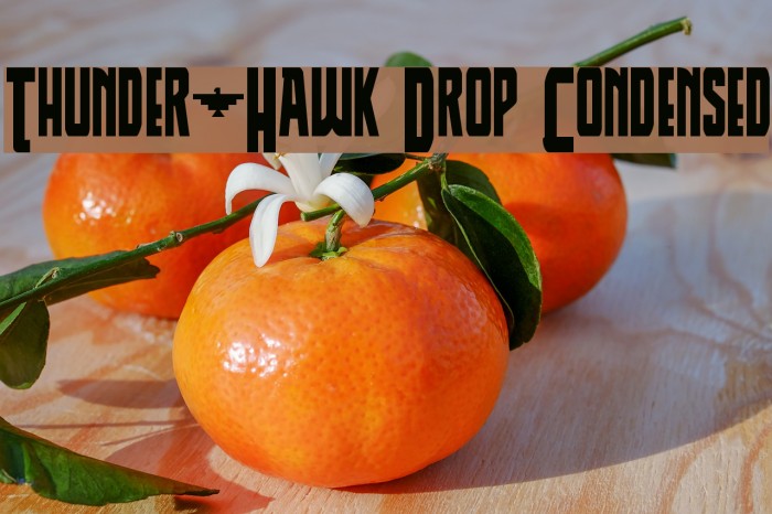 Thunder-Hawk Drop Condensed Example 3