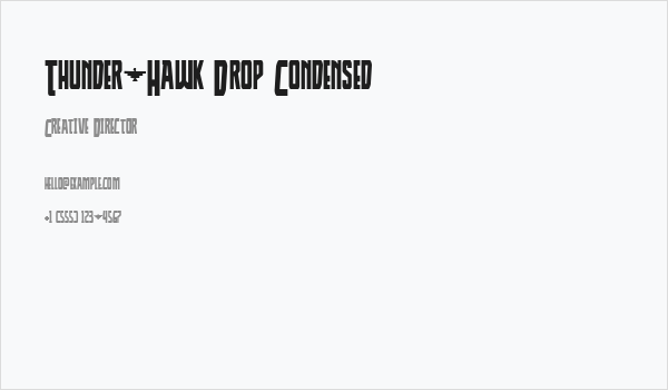 Thunder-Hawk Drop Condensed Business Card