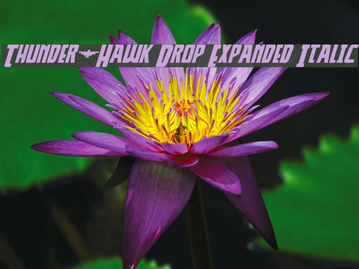 Thunder-Hawk Drop Expanded Italic Font examples