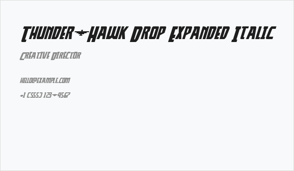 Thunder-Hawk Drop Expanded Italic Business Card