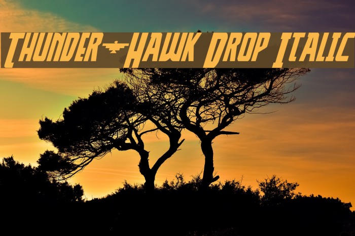 Thunder-Hawk Drop Italic Font examples