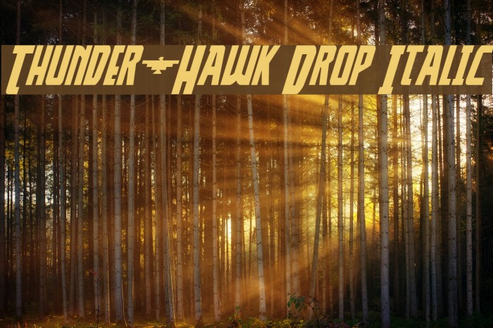Thunder-Hawk Drop Italic Font examples