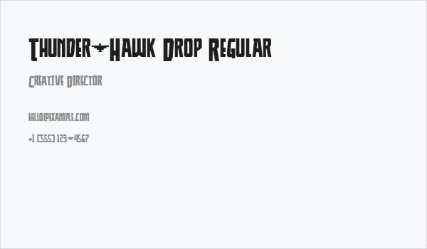 Thunder-Hawk Drop Regular Business Card
