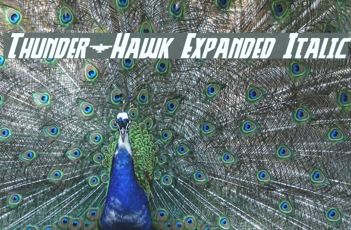 Thunder-Hawk Expanded Italic Font examples