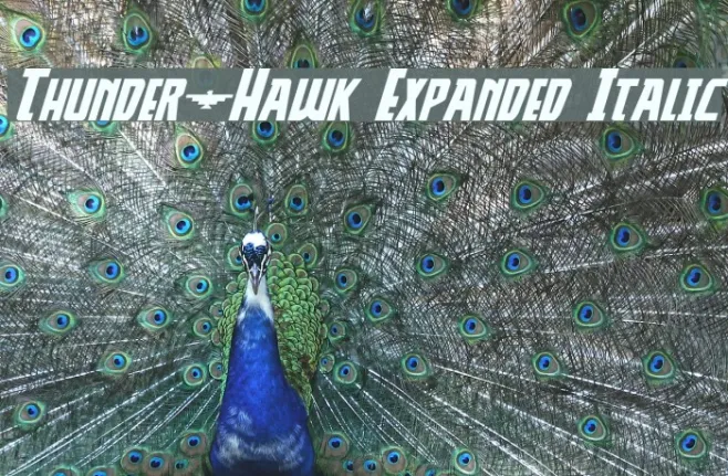 Thunder-Hawk Expanded Italic Example 1