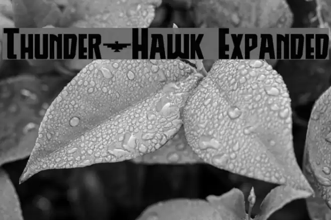 Thunder-Hawk Expanded Font examples