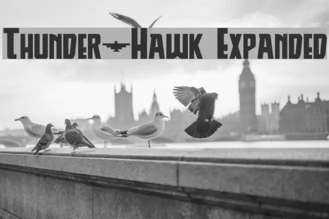 Thunder-Hawk Expanded Font examples