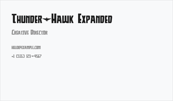 Thunder-Hawk Expanded Business Card