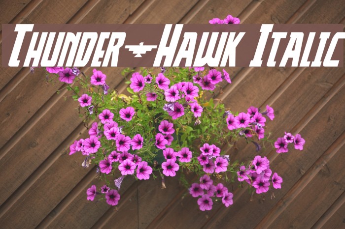 Thunder-Hawk Italic Font examples