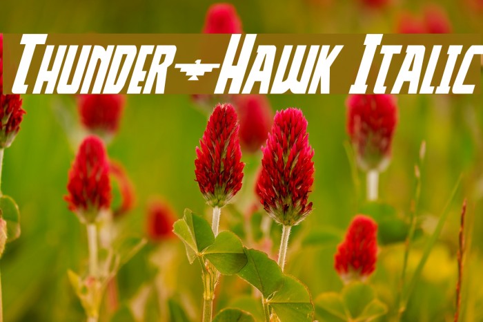 Thunder-Hawk Italic Font examples
