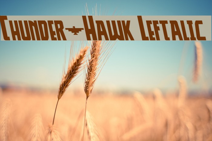 Thunder-Hawk Leftalic Example 2