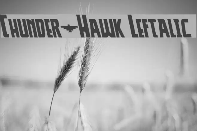 Thunder-Hawk Leftalic Font examples